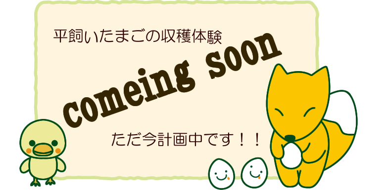 平飼いたまごの収穫体験