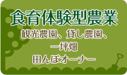 食育体験型農業