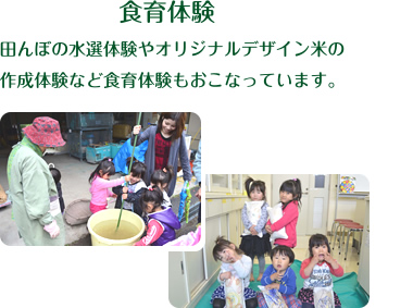 食育体験