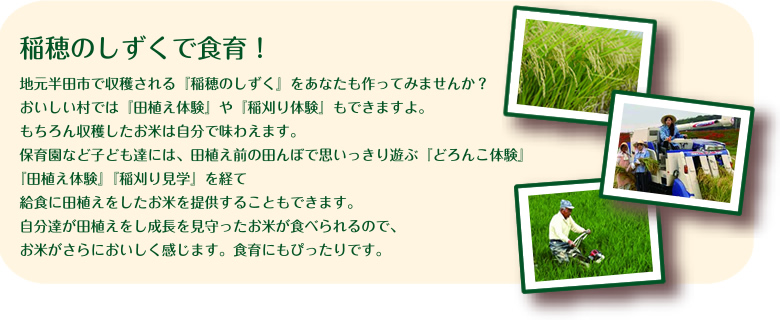 稲穂のしずくで食育！