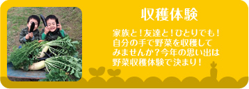 収穫体験