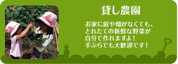 貸し農園
