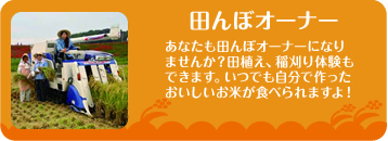 田んぼオーナー