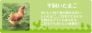 平飼いたまご